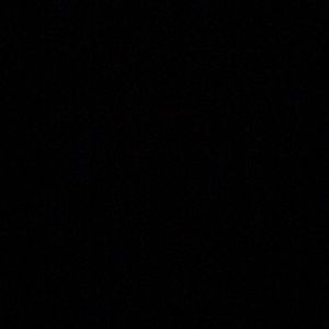 Meet your Posher, Bella